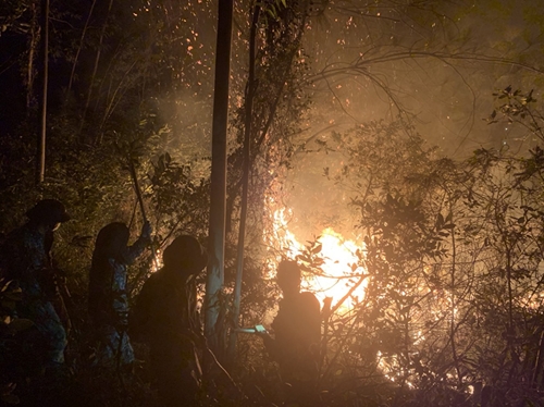 Cán bộ, chiến sĩ Tiểu đoàn 81 xuyên đêm chữa cháy rừng